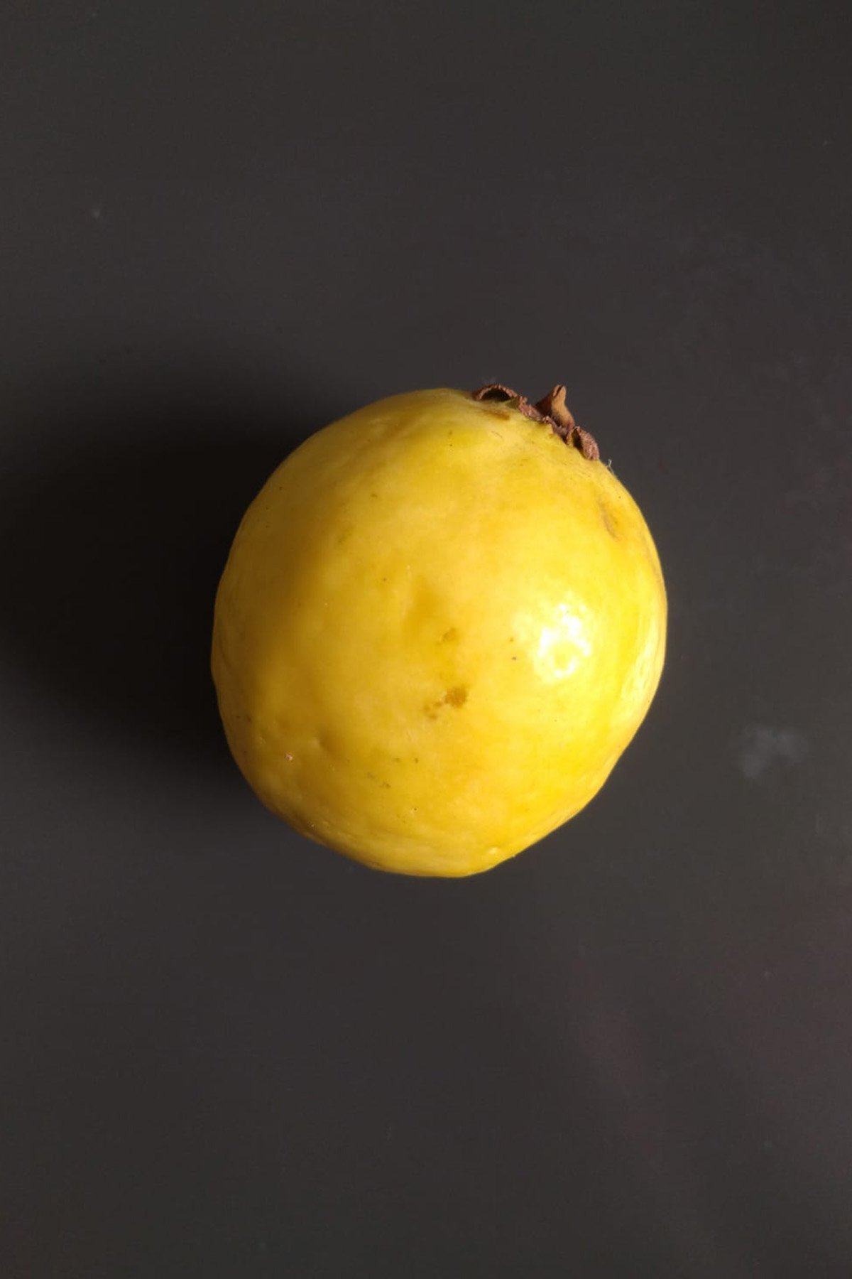 A single guayaba on a flat surface.