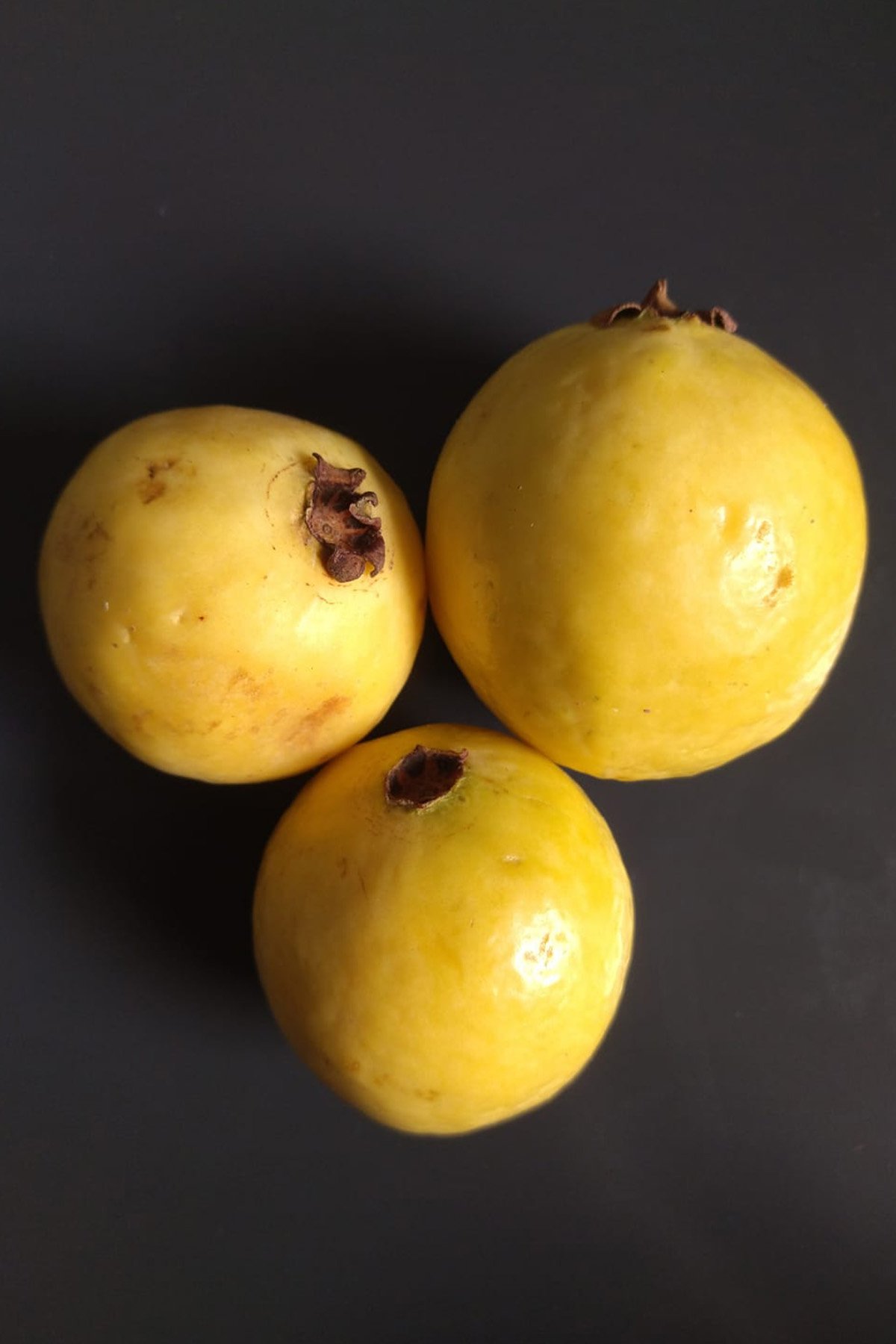 Guayaba Fruit – What Is It And How to Eat It | The Novice Chef