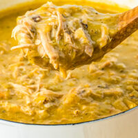A pot of green chili with pork. A spoonful of the chili is being lifted toward the camera.