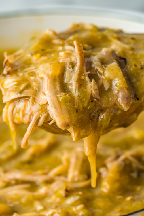 A close-up shot of a pork chili on a spoon, showing the texture of the verde sauce and pulled pork.