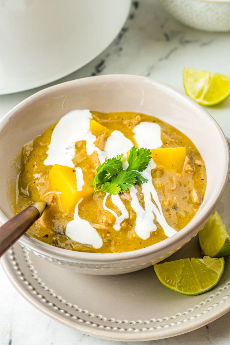 Colorado Green Chili (Chili Verde) The Novice Chef