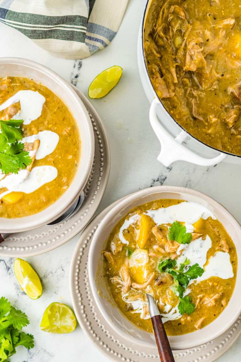 Colorado Green Chili (Chili Verde) The Novice Chef