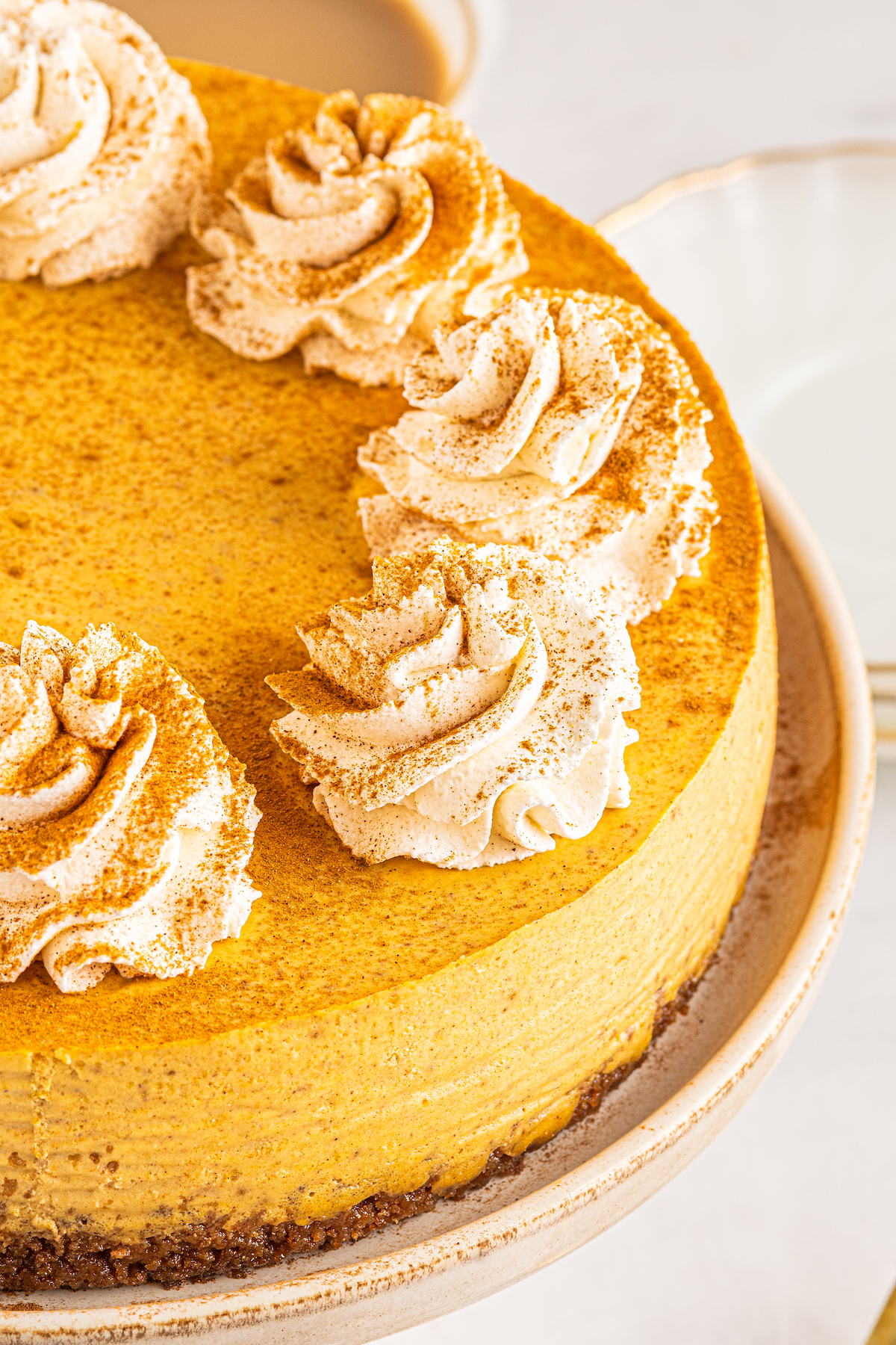 Swirls of piped whipped cream decorate a fall cheesecake.