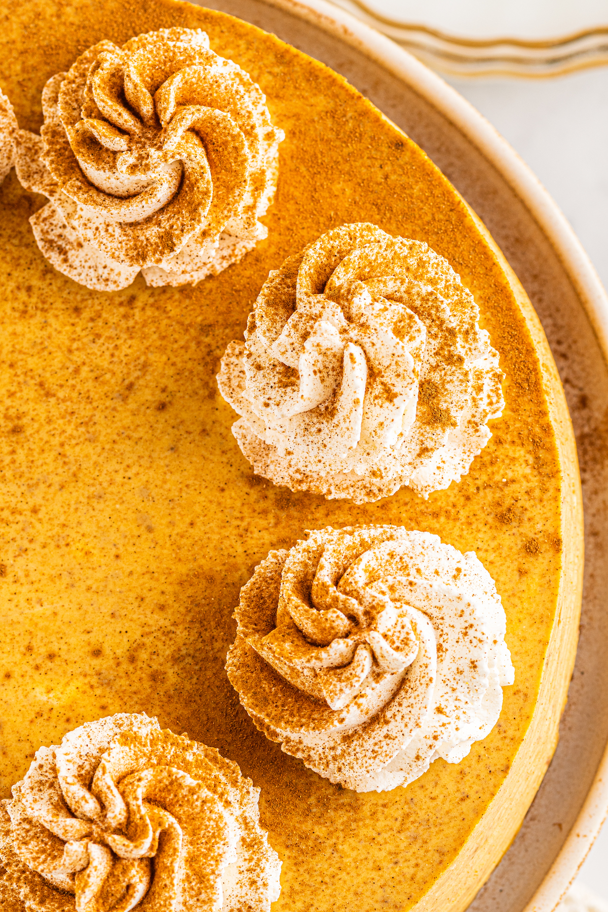 Close-up, overhead shot of pumpkin cheesecake garnished with whipped cream.