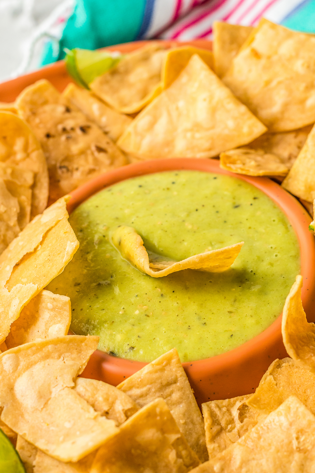 A salsa dish with chips surrounding it. One chip is dipped into the salsa.