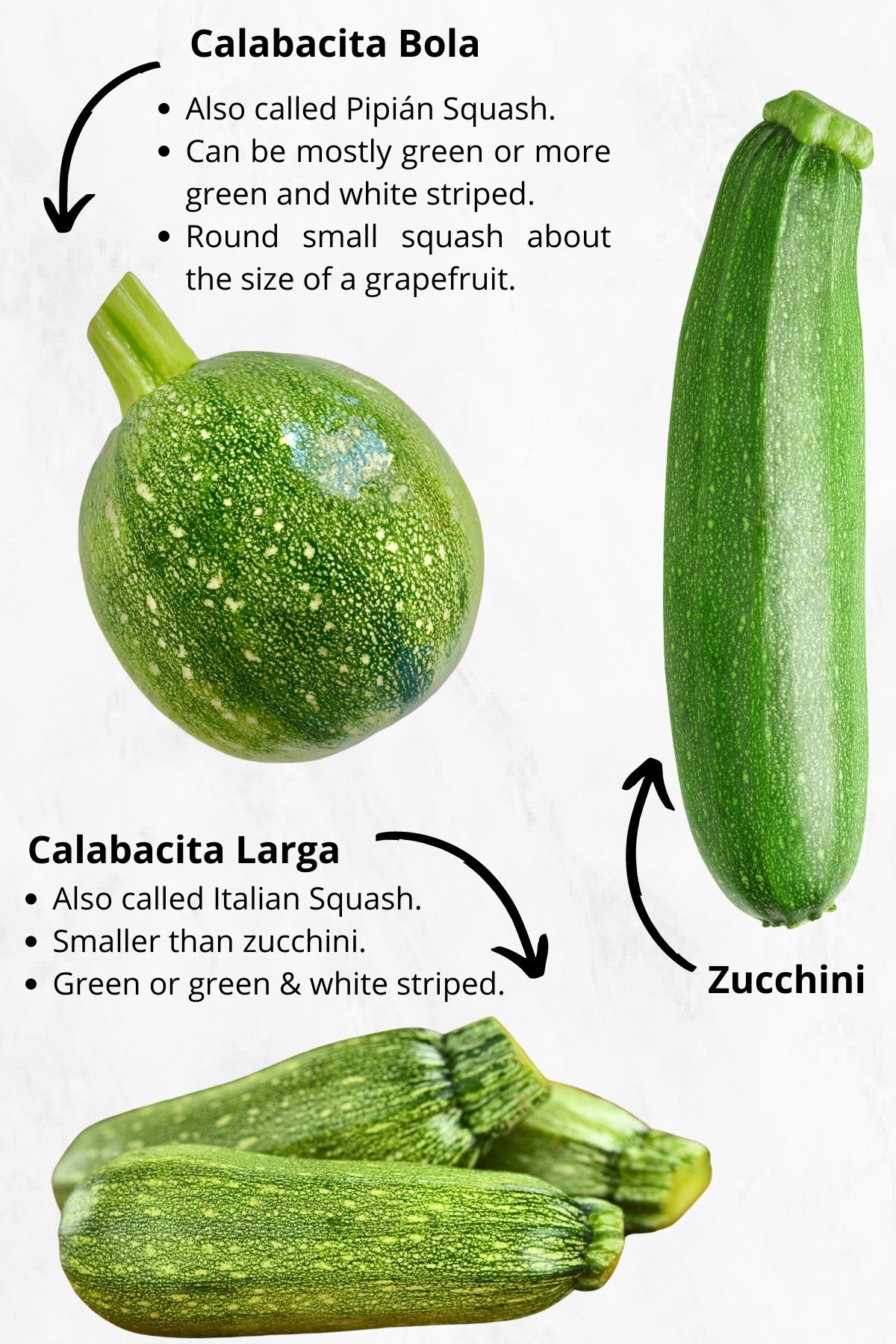 Diagram showing different types of squash.