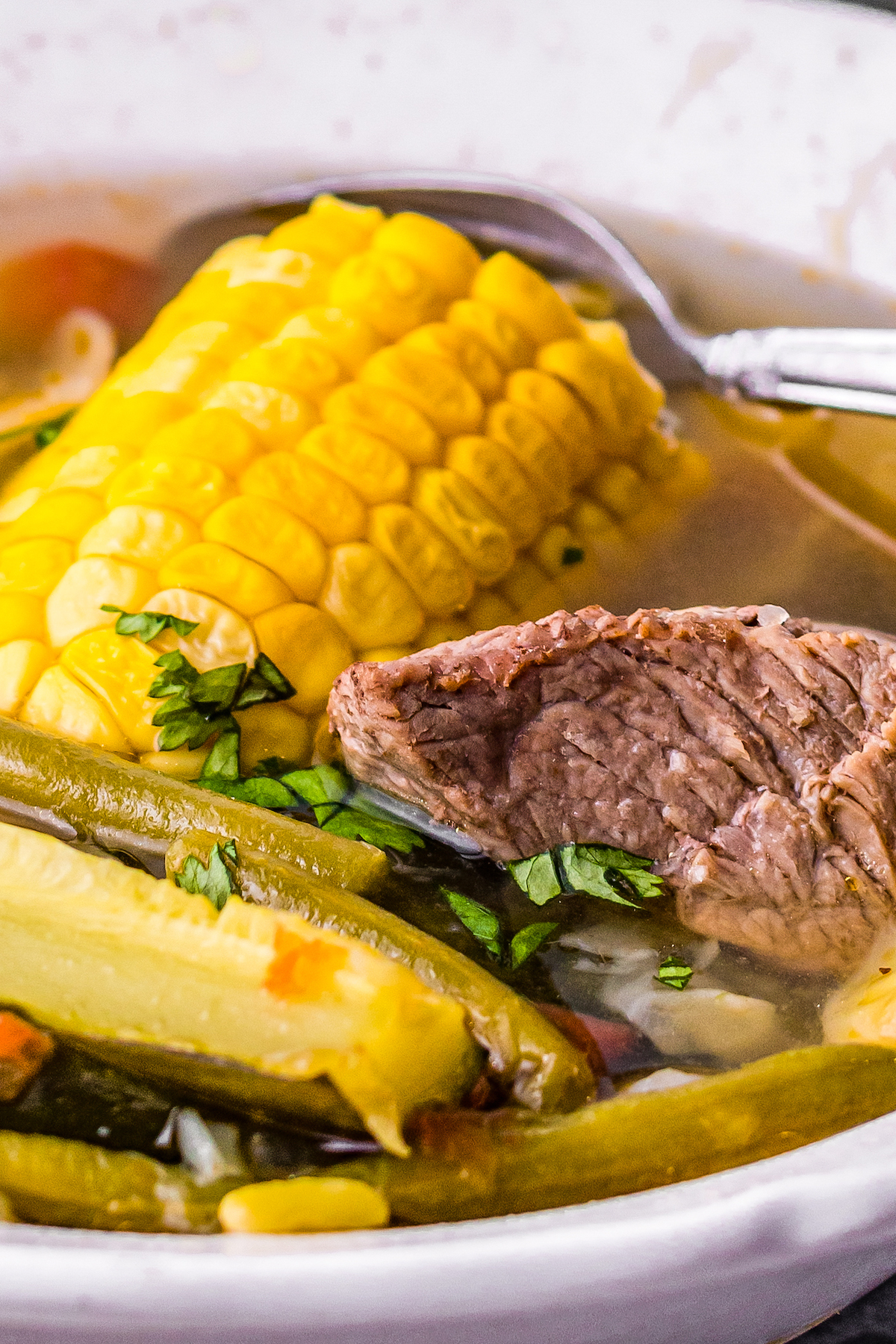 Mexican beef stew with zucchini, corn, fresh herbs, green beans, in a beef-based broth served in a bowl