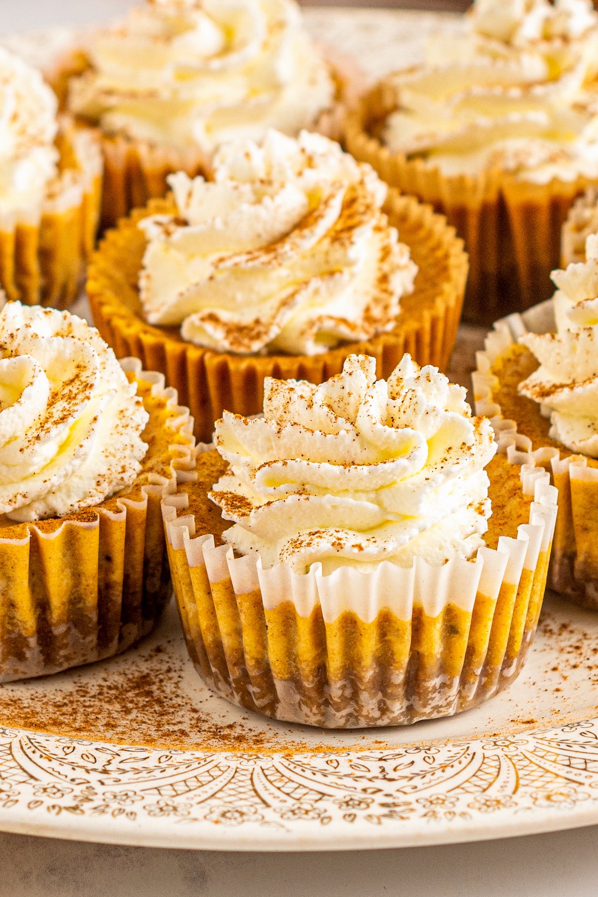 mini pumpkin cheesecakes the size of a cupcake with whipped cream on top