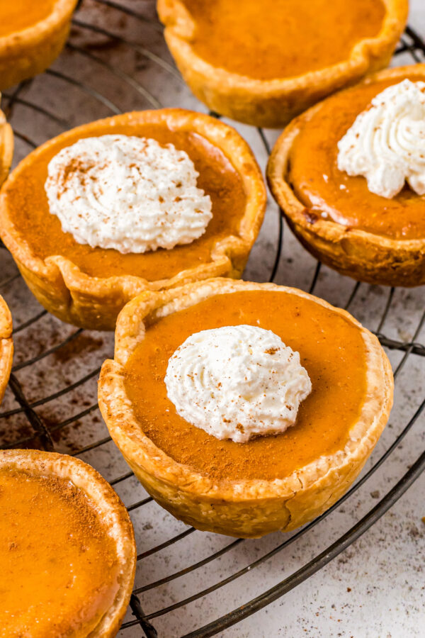 Mini Pumpkin Pies Recipe | The Novice Chef