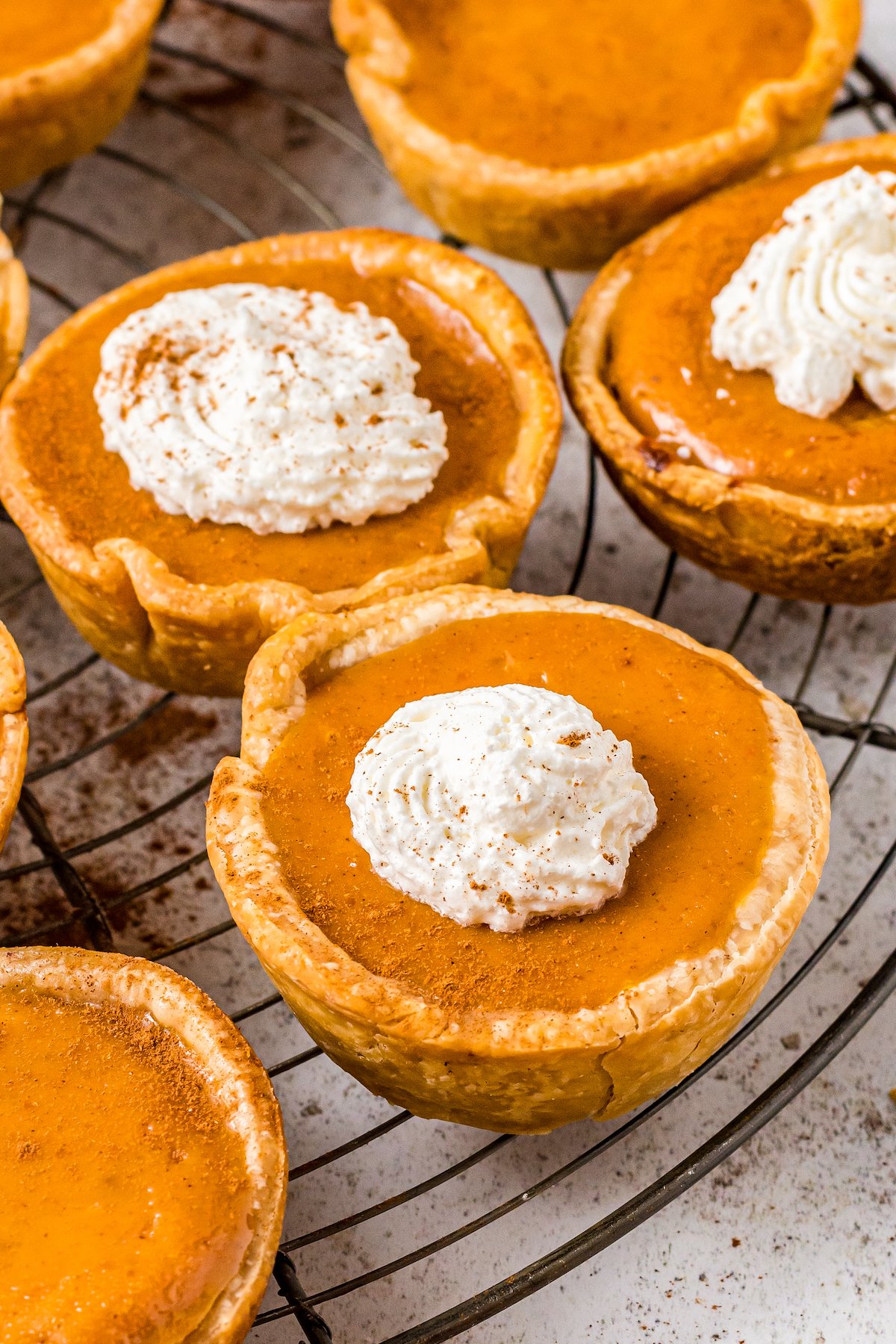 close up miniature pumpkin pies with whipped cream on top