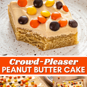 Peanut butter cake on a plate and a whole cake on a cake tray.