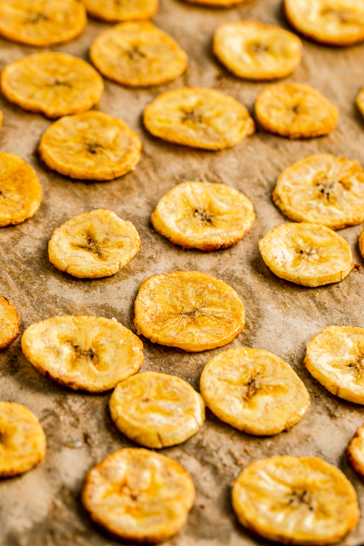 Thin slices of baked plantain on a parchment-lined baking sheet.