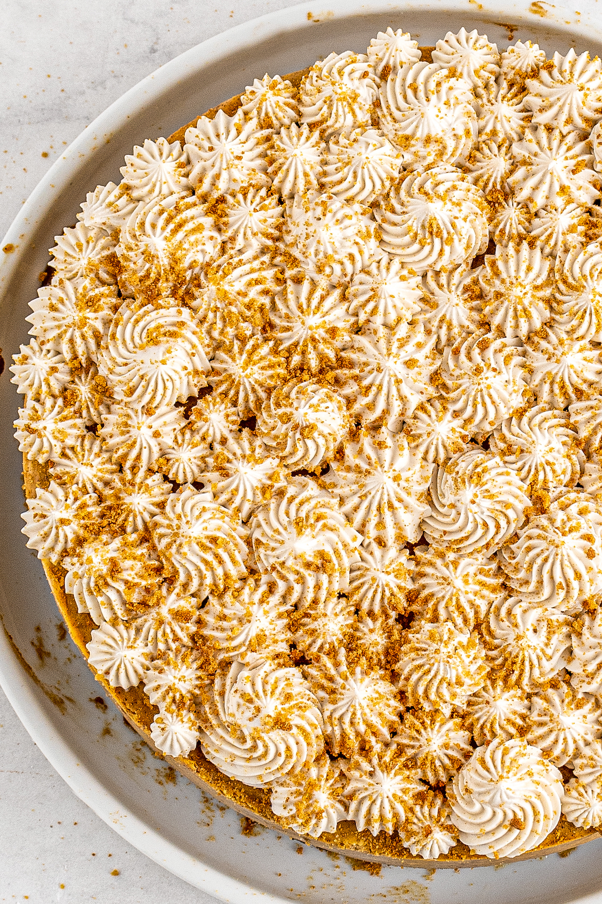 Overhead shot of cheesecake topped with cream cheese frosting and cinnamon.