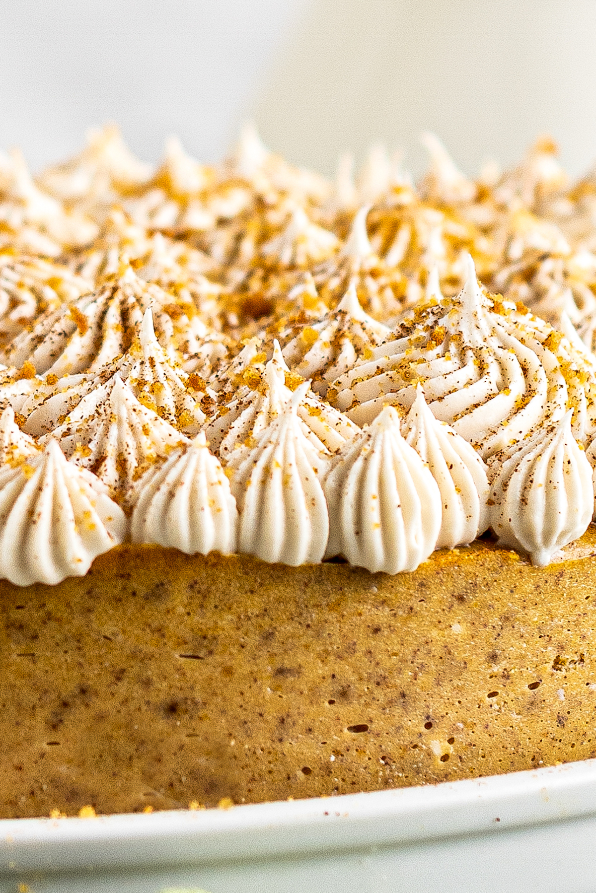 Frosting piped with large and small star tips, onto a pumpkin spice cheesecake.