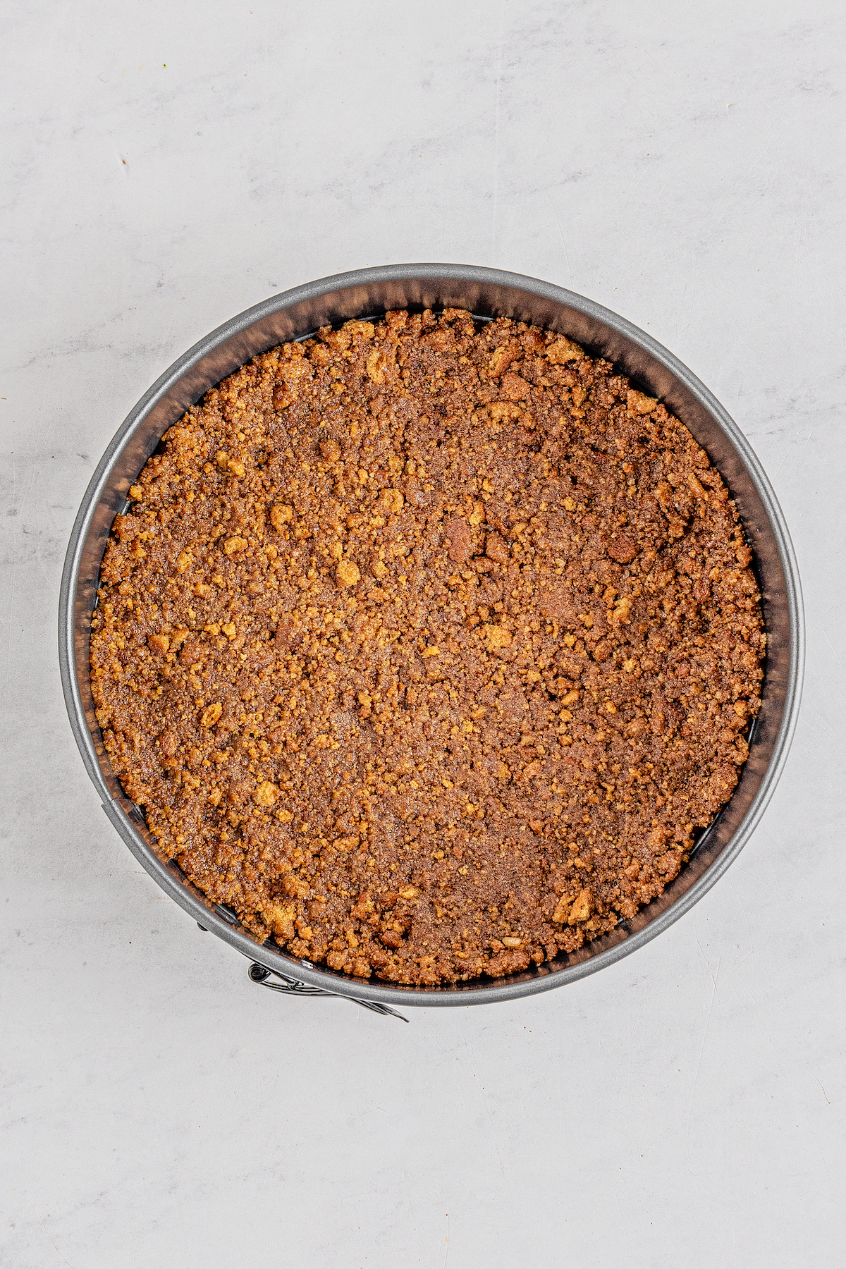 A springform pan with a crushed gingersnap crust pressed into the bottom.