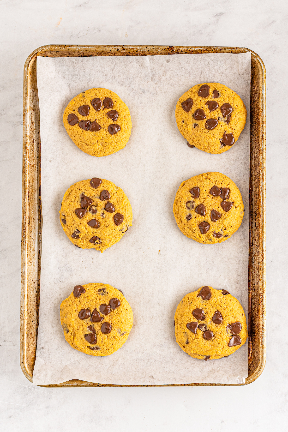 a sheet tray with baked chocolate chip pumpkin cookies