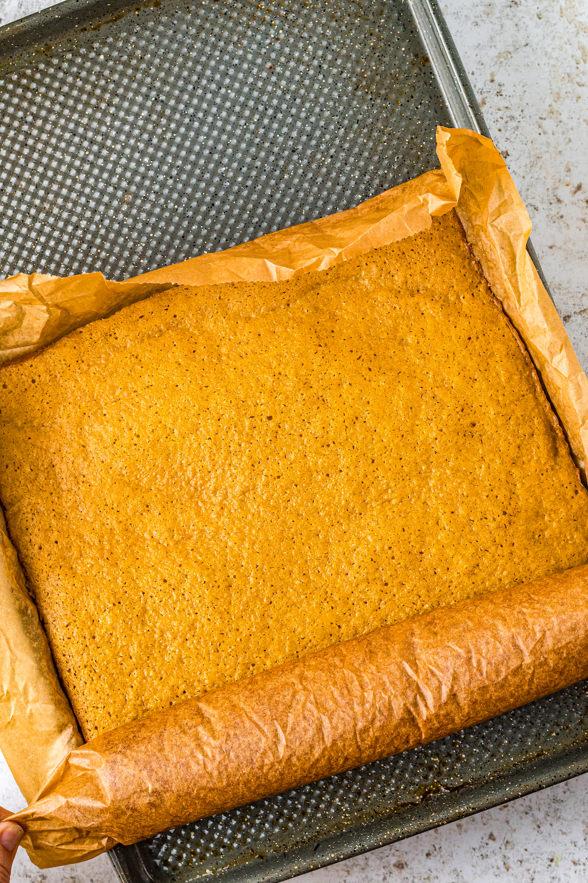 A pumpkin jelly roll cake being rolled up in its parchment lining.