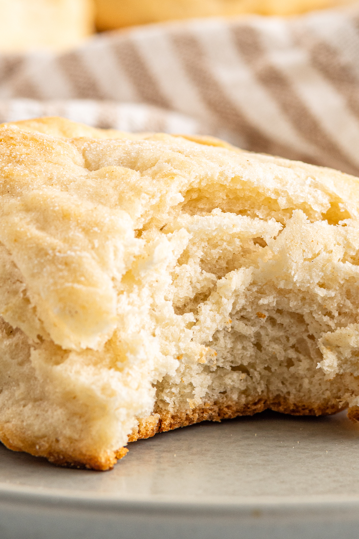 Close-up shot of a biscuit with a bite taken out of it, showing the texture of the interior.