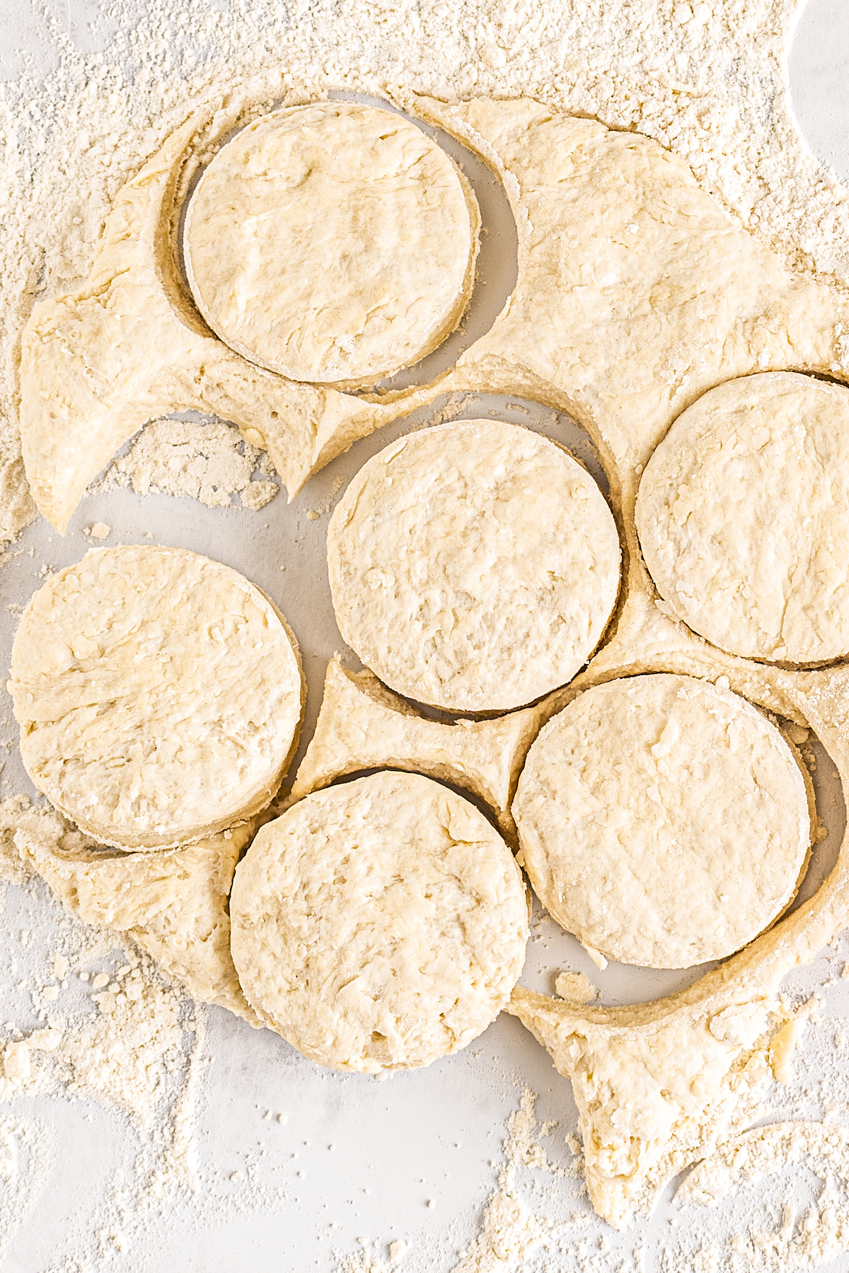 A circle of biscuit dough with six biscuits cut out.