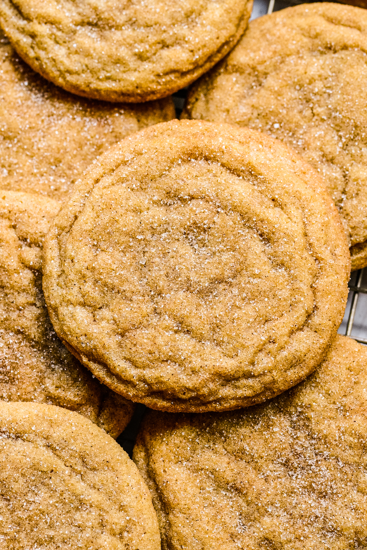 Close-up shot of maple snickerdoodles, showing the texture of the cinnamon coating on each cookie.