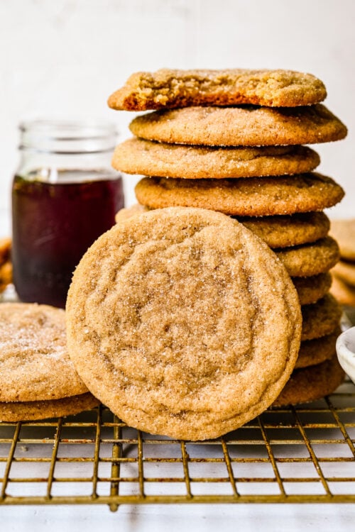 Vibrant Snickerdoodle Recipe Image Art Vibrant Snickerdoodle Recipe Image Art