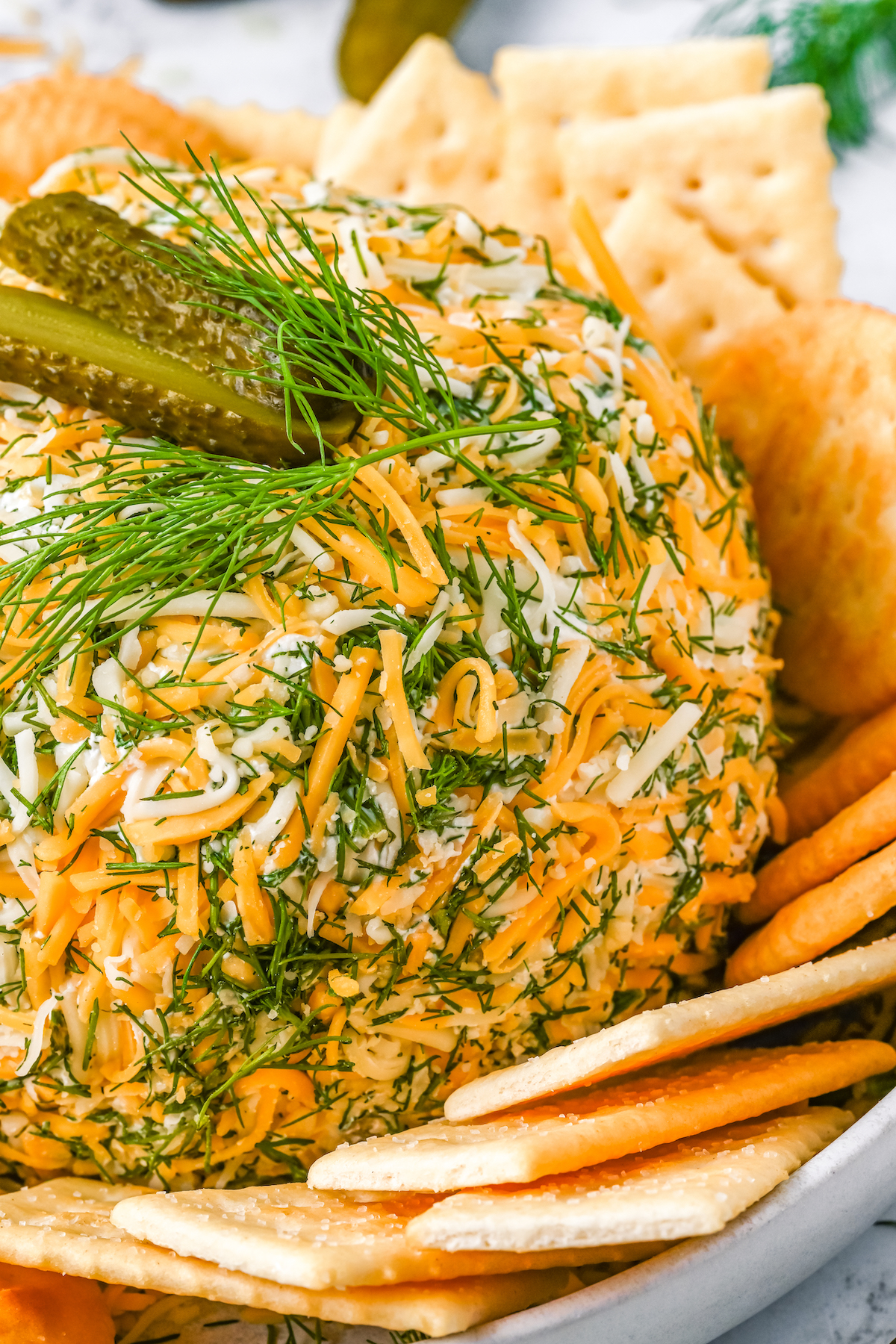 Close-up shot of a cheese ball appetizer coated in shredded cheese and herbs.