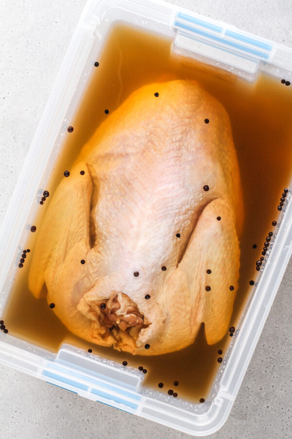 A whole turkey submerged, breast-side-down, in turkey brine.