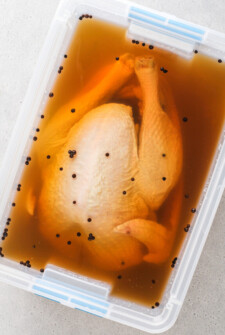 A whole turkey, breast-side-up, in brine.