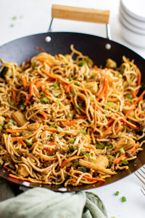 Pan Fried Noodles | The Novice Chef