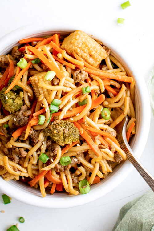 Pan Fried Noodles The Novice Chef