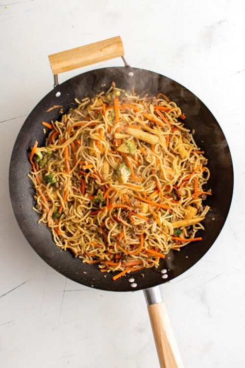 Pan Fried Noodles | The Novice Chef