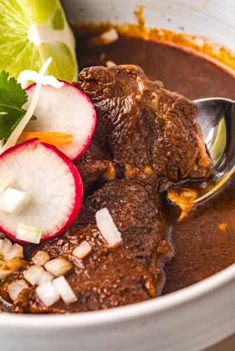 Close-up shot of Mexican stewed beef being lifted on a spoon.