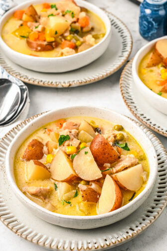 Crock Pot Chicken Stew | The Novice Chef