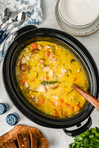 Crock Pot Chicken Stew | The Novice Chef