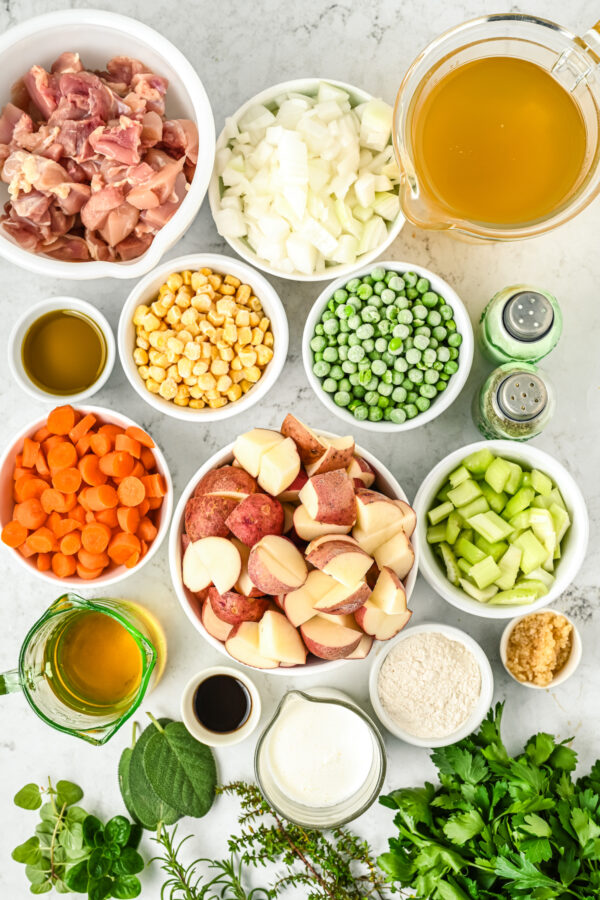 Crock Pot Chicken Stew | The Novice Chef