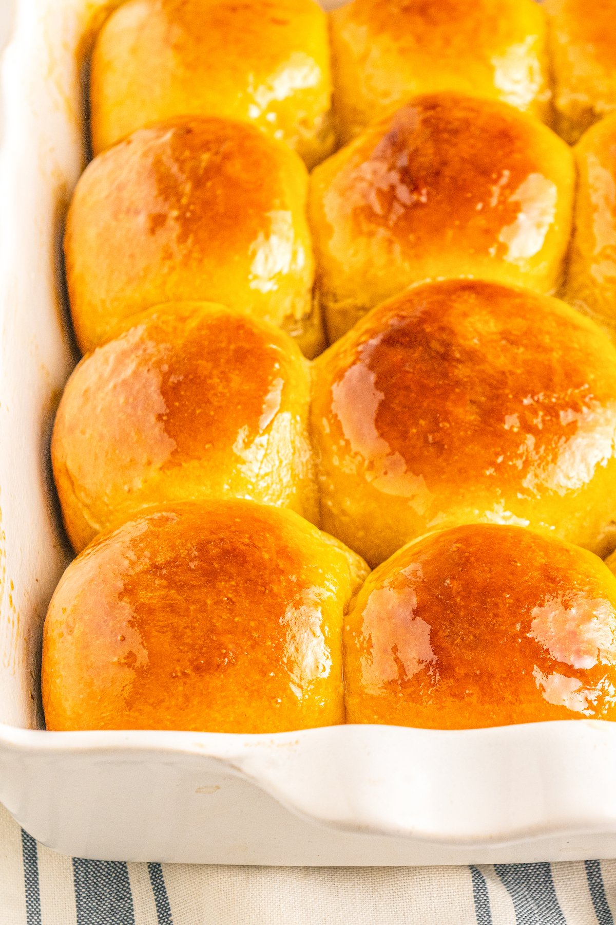 Lines of shiny dinner rolls in a dish.