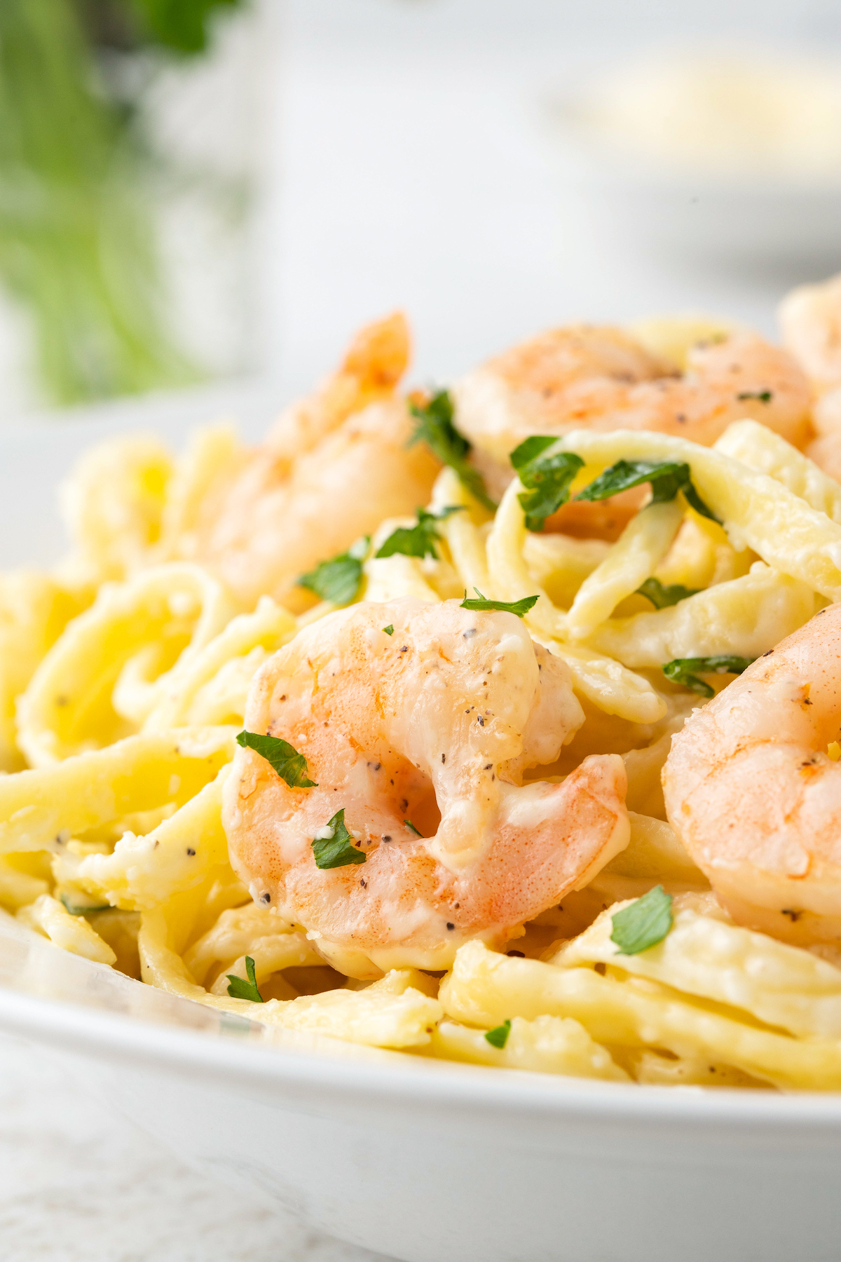 Side view of a plate of shrimp alfredo garnished with parsley.