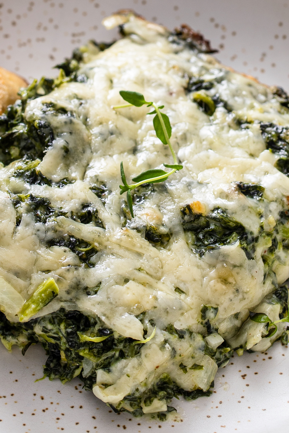 Spinach gratin with cheese and fresh herbs on top.