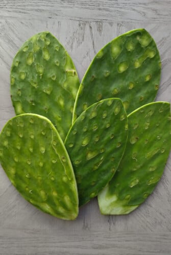5 whole nopales