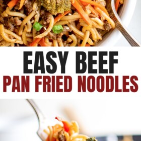 A bowl of pan fried noodles and a fork picking up a bite.