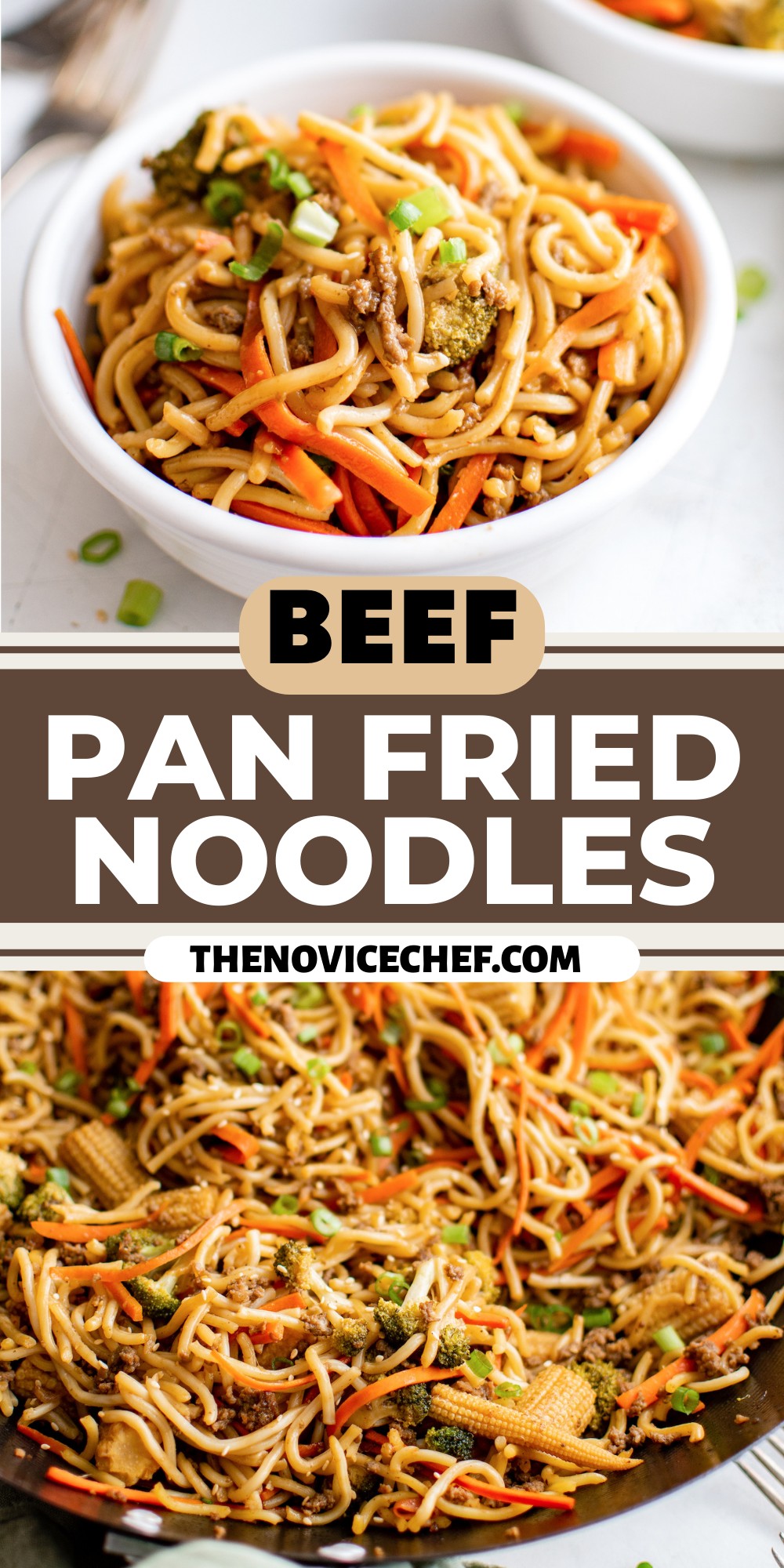 Pan Fried Noodles The Novice Chef 8634