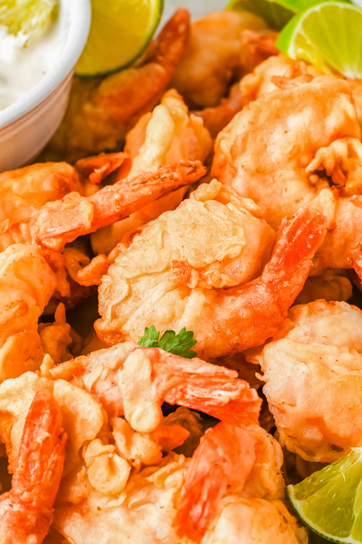 Close-up of crispy shrimp.