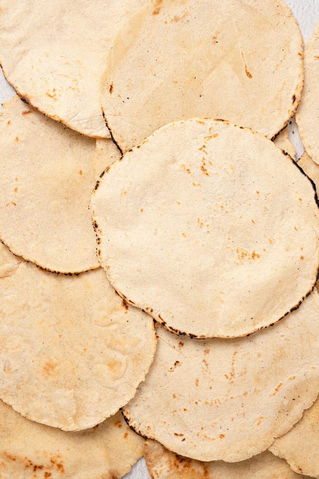 Homemade Corn Tortilla Recipe The Novice Chef
