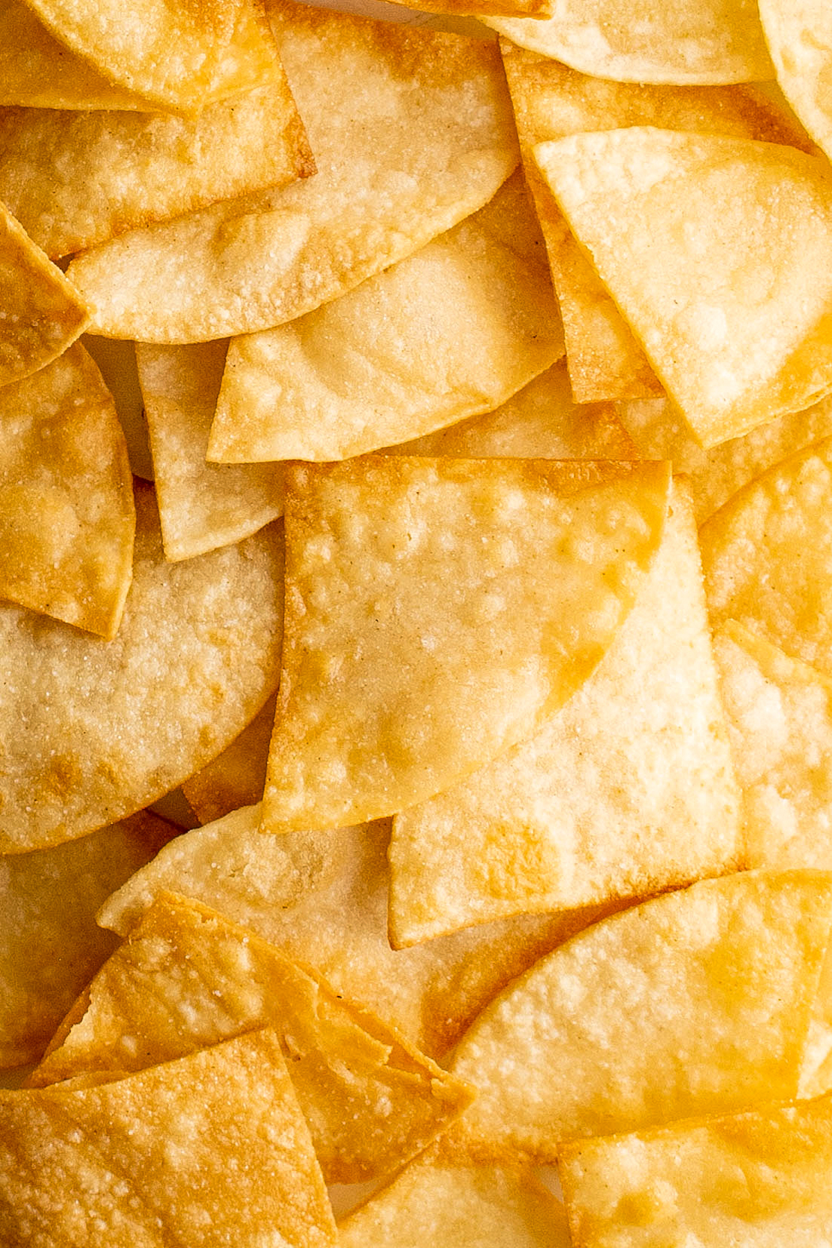 Close-up of corn tortilla chips.