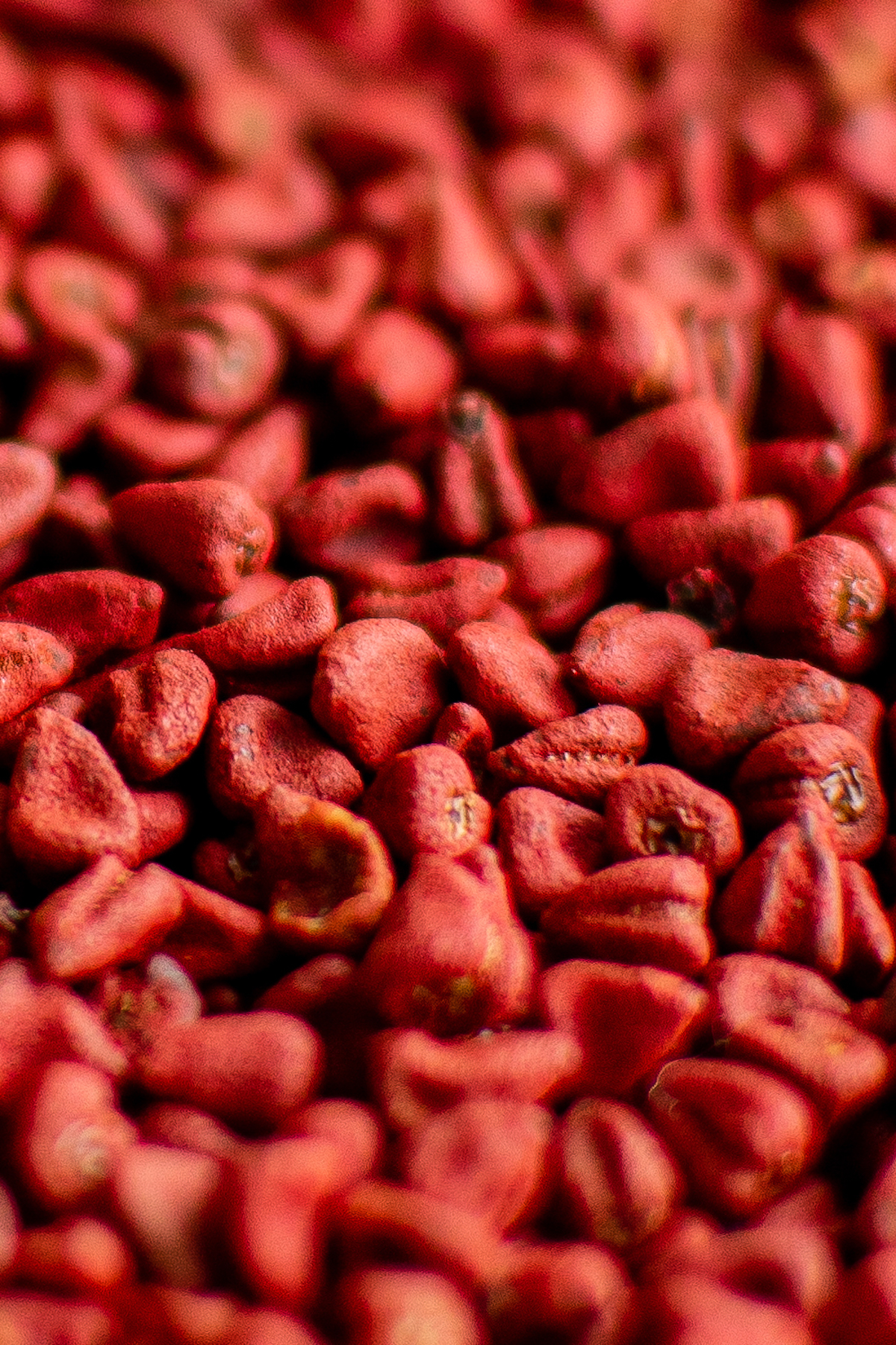 Annatto Seeds stacked on top of each other.