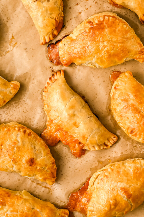 Homemade Chicken Empanadas Recipe The Novice Chef
