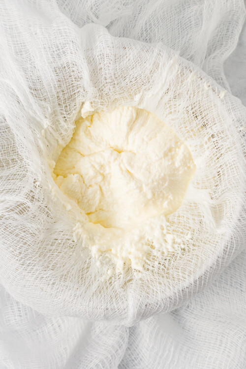 Homemade Ricotta Cheese Recipe The Novice Chef 2271