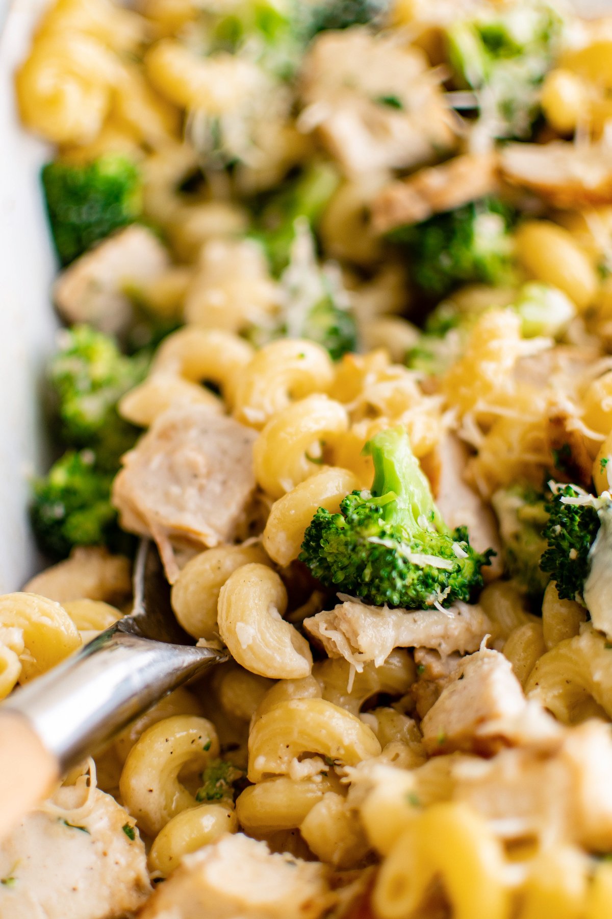 Close-up of chicken broccoli alfredo bake. 