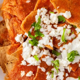 Chilaquiles Rojos with crumbled cheese and cilantro on top.