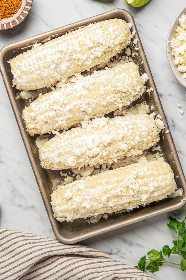 Corn on the cob coated in mayo and cotija cheese on a sheet pan.